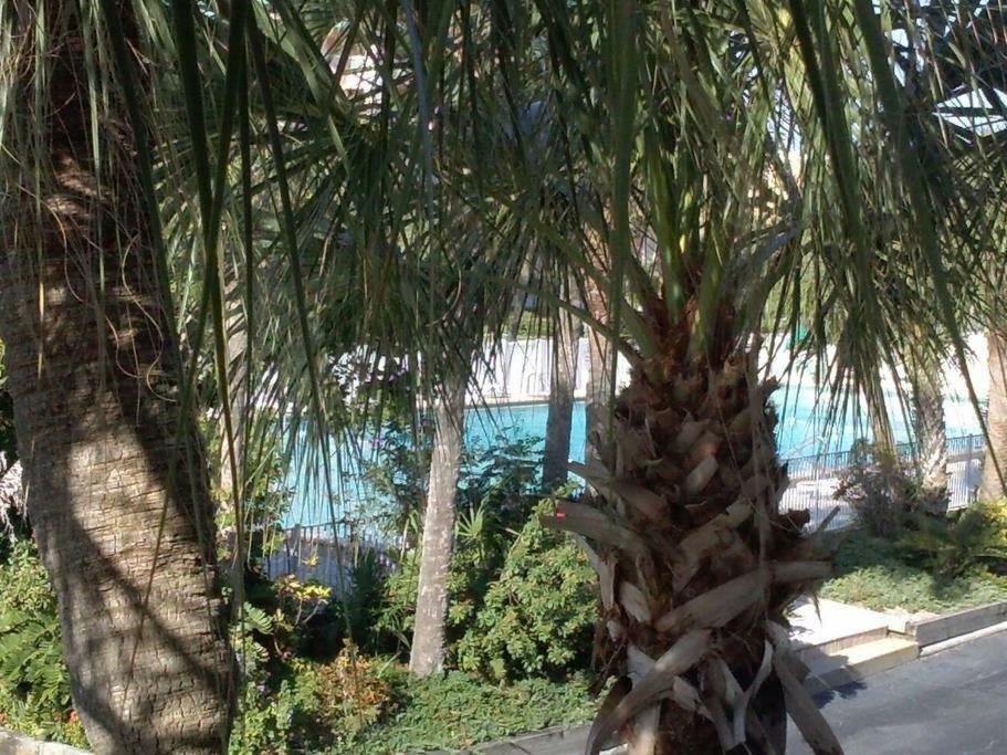 Appartamento Beach Getaway III At Belleview Clearwater Beach Esterno foto